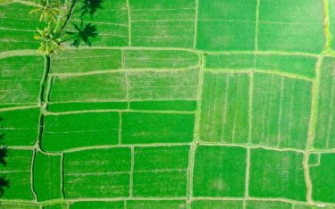 水田の水管理IoTシステムとは？水田の水管理IoTシステムの種類やできることについて解説