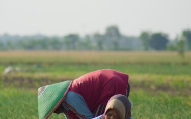 農業用アシストスーツとは？アシストスーツの種類やできることについて解説