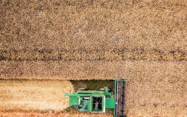 収穫ロボットとは？収穫ロボットの種類やできることについて解説