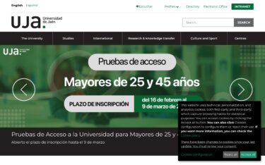 ドローンがオリーブを育てる？大きさや健康状態など生育状況を監視