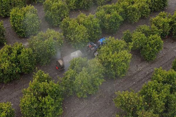 Bluewhiteの精密散布技術（Bluespray）