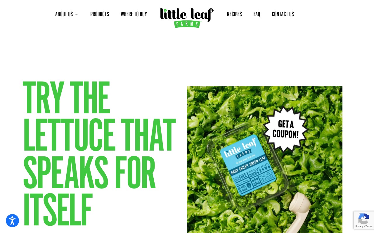 Little Leaf Farms 温室レタス栽培