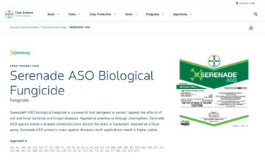 バチルス（枯草菌）系バイオスティミュラント完全ガイド｜根圏定着・抗菌物質・誘導抵抗性で収量を高める仕組み