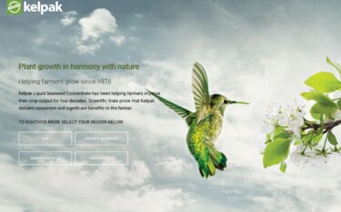 海藻抽出物バイオスティミュラント完全ガイド｜Ecklonia maxima・Ascophyllum nodosumの効果と主要製品