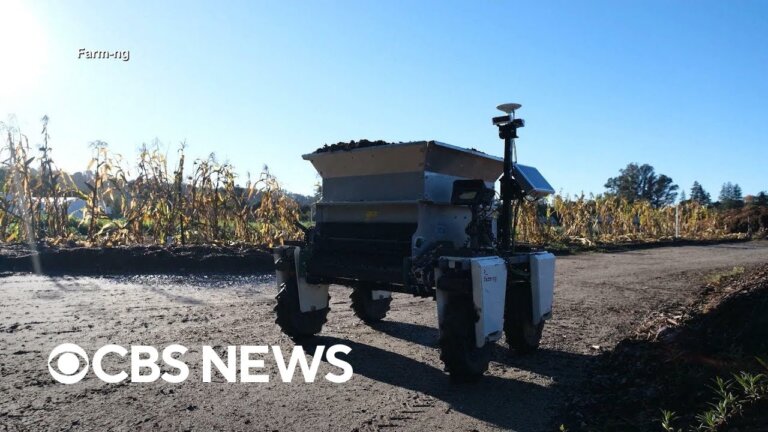 How AI powered robots are helping small farms fight labor shortages