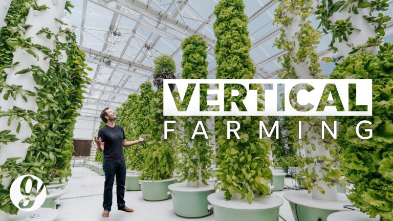 Next Gen Farming Without Soil and 90% Less Water | GRATEFUL