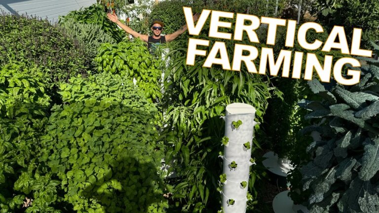 Revolutionary Farming Method: Unveiling Our Aeroponic Vertical Farm