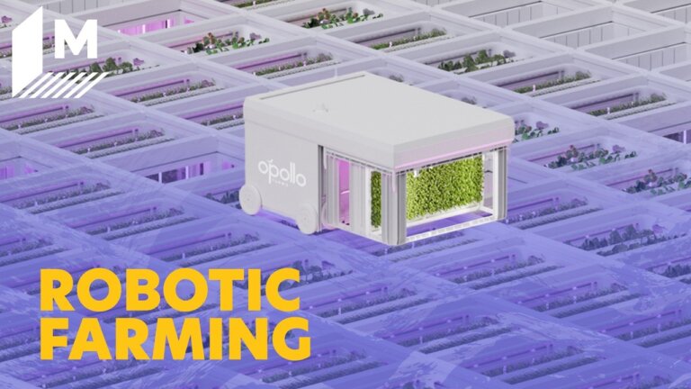The World's First Robotic Vertical Farm Resembles a Rubik's Cube