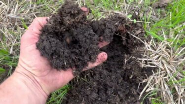 【注目】農業初心者でもできる！コストゼロで土壌を改善する再生型農業の実践法