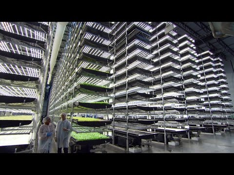 How Aerofarms' vertical farms grow produce