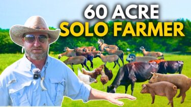 1人で chickens・pigs・cows・sheepを育てる！？再生型農業の実践者による驚きの農場構成