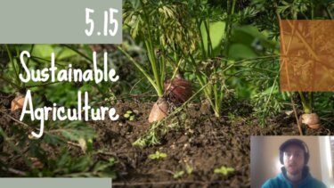 【話題】土壌 erosion を防ぐ5つの実践法則｜家庭菜園でも使える持続可能な農法