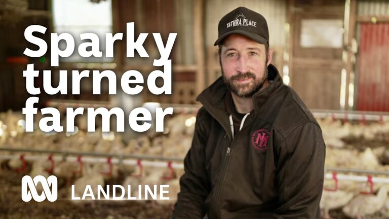 Tradie turned farmer builds a small, successful, sustainable farm | ABC Australia