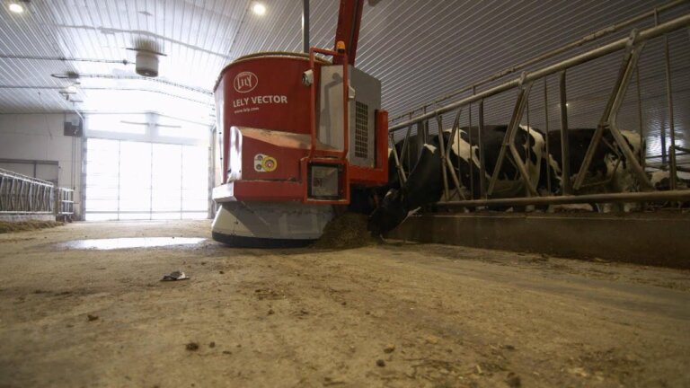 How Robots Are Saving the Dairy Farm