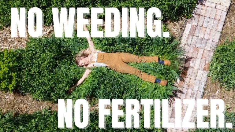 No weeding, no fertilizer--too good to be true, or garden magic?