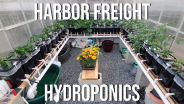 【話題】Harbor Freightの温室で水耕栽培が実現！家庭菜園の新常識