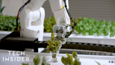 【話題】ロボットが働く垂直農業、水使用量が90％削減！？