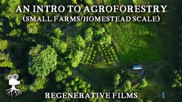 【話題】小規模農場で効果的なアグリフォレストリーの導入法｜44万回再生の動画から学ぶ