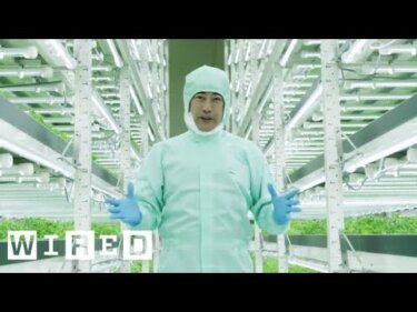 【話題】東京の垂直農業が示す未来｜農業の次世代技術とは？
