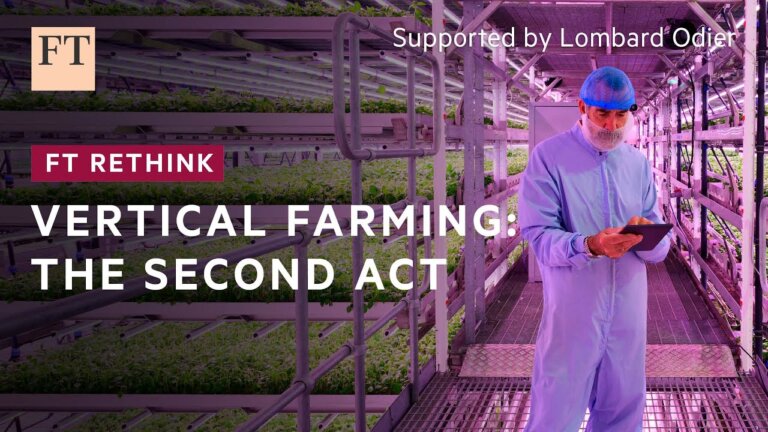 Can vertical farming overcome its growing pains? | FT Rethink