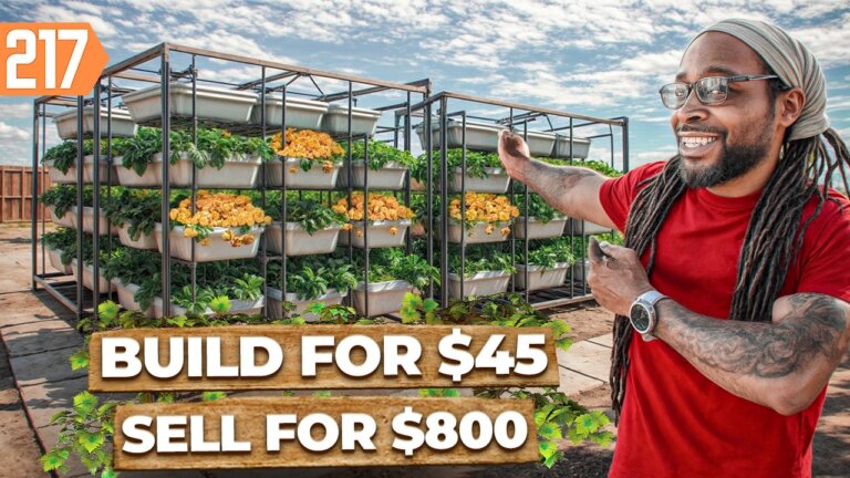 How this NASA Secret Could Turn Your Backyard Into $10K/Month