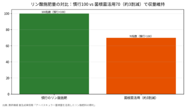 菌根菌でリン酸肥料は3割減らせるか 農研機構データで読む節肥効果