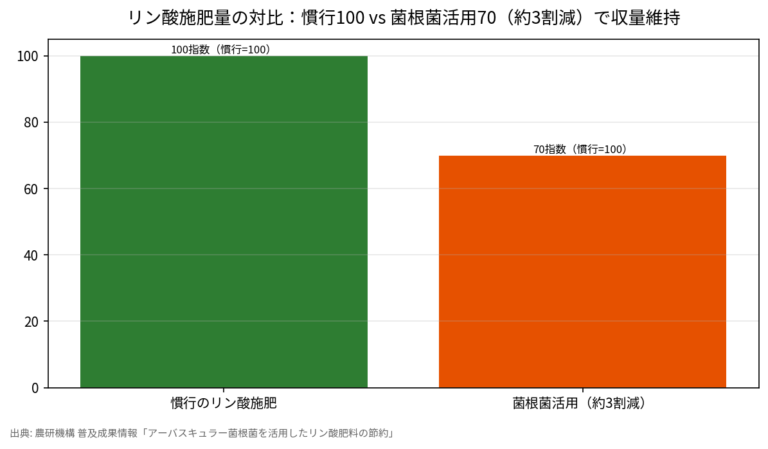 菌根菌でリン酸肥料は3割減らせるか 農研機構データで読む節肥効果