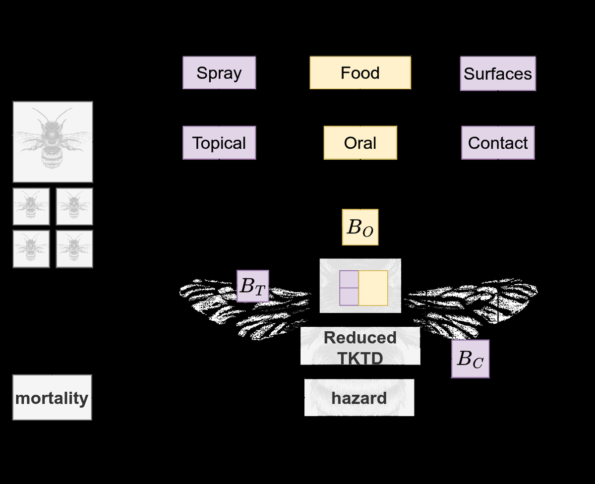 論文より引用（2606.23470v1・手法・アプローチに関連）