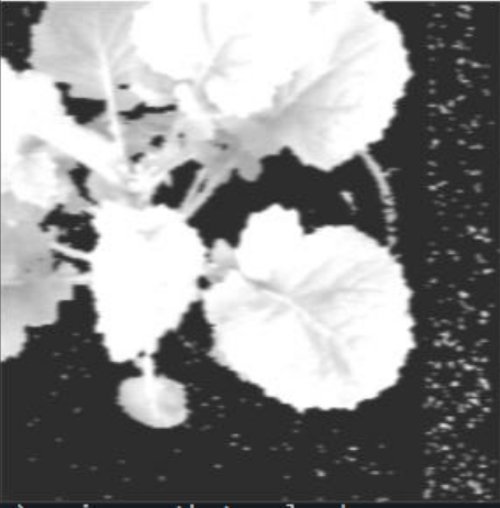 論文より引用（2606.11966v1・実験結果に関連）