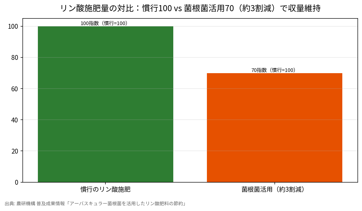 リン酸施肥量の対比：慣行100 vs 菌根菌活用70（約3割減）で収量維持