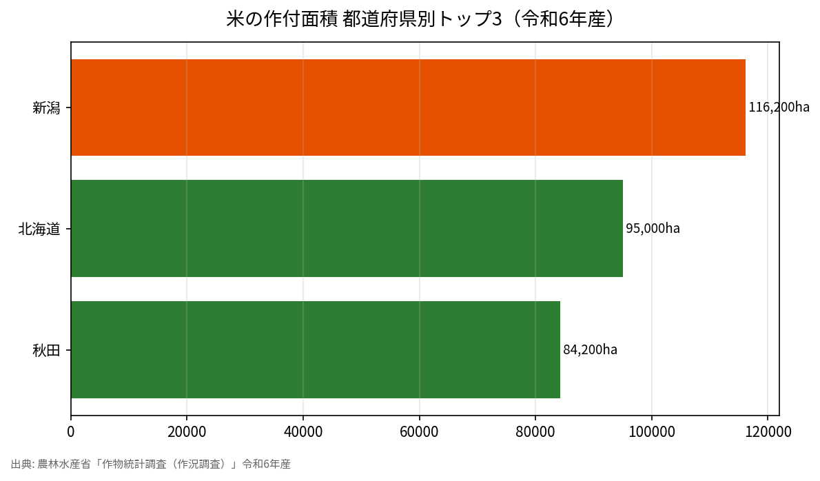 米の作付面積 都道府県別トップ3（令和6年産）