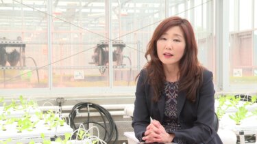 アクアポニックスで未来の食料問題を解決する方法
