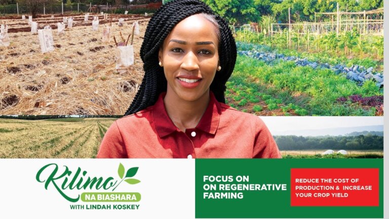Focus on Regenerative Agriculture | Kilimo na Biashara