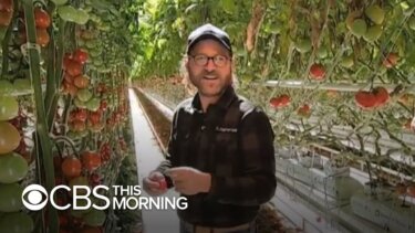 30倍の収量で水を90％節約！？垂直農業の未来が見える