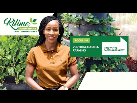 Focus on Vertical Garden Farming | Kilimo na Biashara