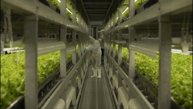 Vertical Farming in Japan - Power Trip: The Story of Energy