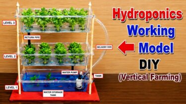 家庭菜園でもできる！水耕垂直農業のDIYモデルを徹底解説