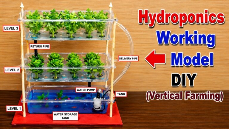 hydroponics working model - vertical farming - science exhibition project - diy - howtofunda