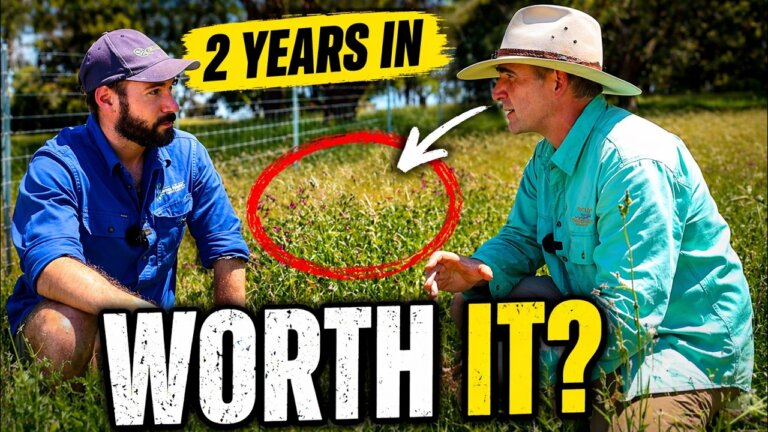 Can A Small Farm Be Regenerative?