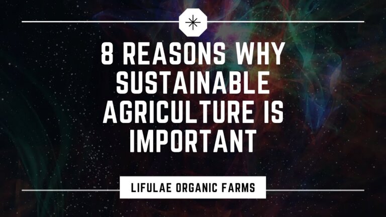8 reasons why sustainable agriculture is important