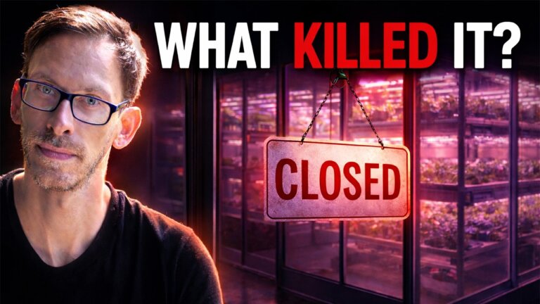 What Killed Vertical Farming?