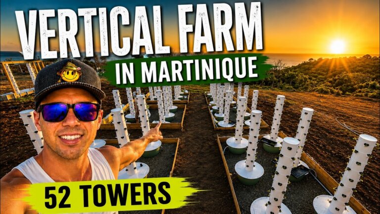 We Built a Vertical Farm in Martinique