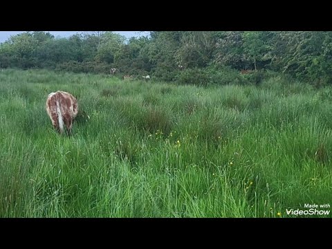 Im struggling with this something needs to change. Rushes are a big issue