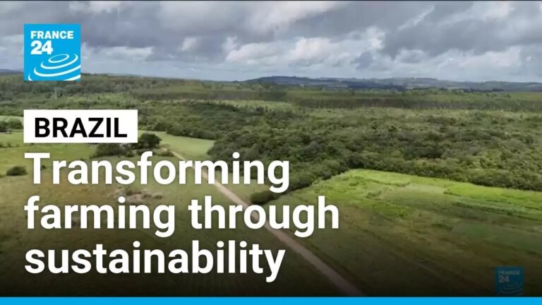 Sowing sustainability: Brazil's approach to sustainable farming • FRANCE 24 English