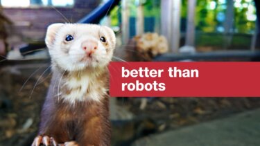【話題】 ferretがロボットより優れる理由とは？農業・家庭菜園に活かせる活用法も