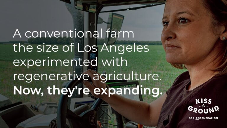 Stories of Regeneration: Schiff Farms