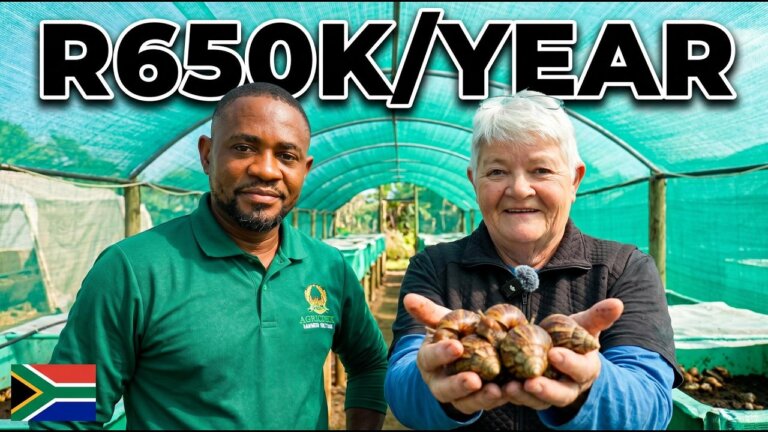 How Annie Makes R650,000 a Year Farming Snails in South Africa