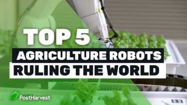 農業の未来が動き出す！5つの最新ロボットが世界を変える