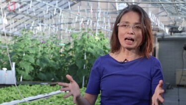 家庭菜園でもできる！環境を自在にコントロールする農業技術とは？