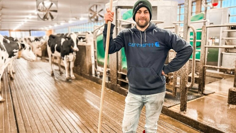 Dairy Farming with Robots: A Typical Day in the Life